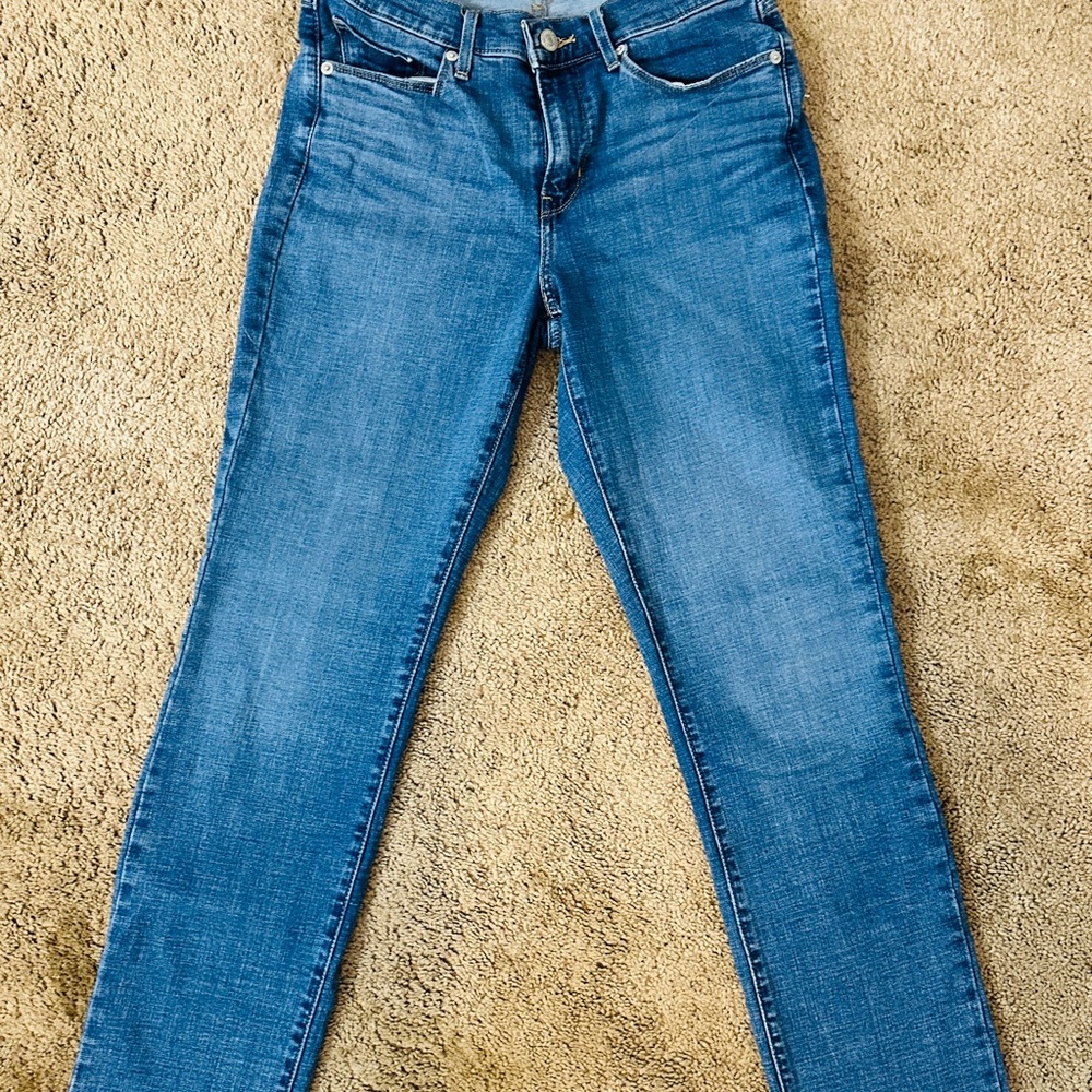 Signature by Levi Strauss Blue Straight Leg Jeans